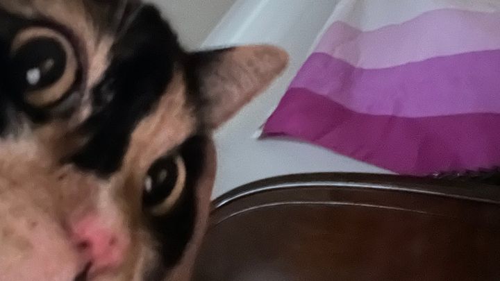 Help Mikey Move to Their New Home campaign photo, 1 of 8