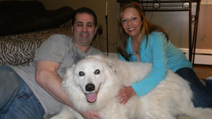 Main fundraiser photo