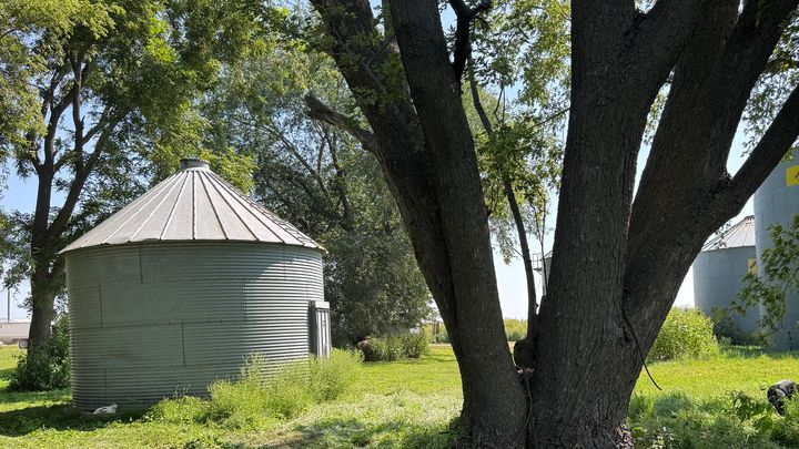 Help Build the Respectfully Feral Sanctuary campaign photo, 1 of 8