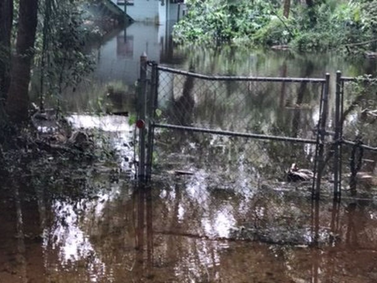 Fundraiser by Robin Brooks : Hurricane Irma--Tampa/Miami, image size:1200x900