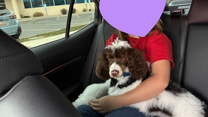 Help Us Empower Emmy with an Autism Service Dog campaign photo, 1 of 4