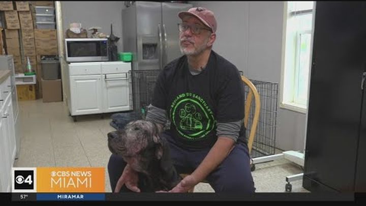 Help Redland Dog Sanctuary save abandoned abused stray dogs! video thumbnail, 1 of 3