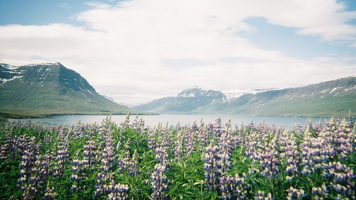 Glasgow University Iceland Expedition 2026 campaign photo, 1 of 7