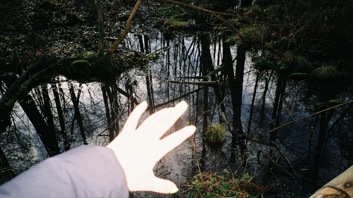 Hauptbild des Spendenaufrufs