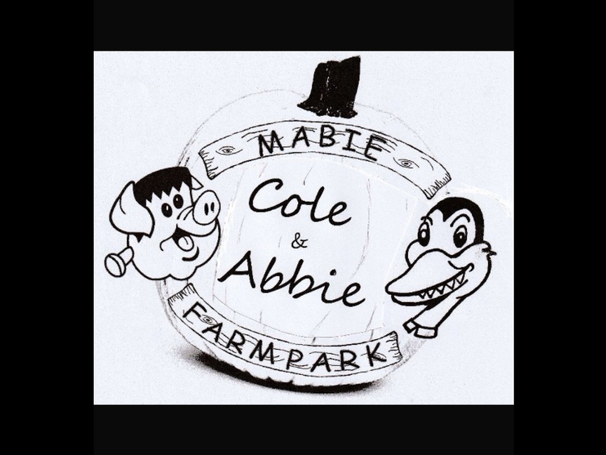 Fundraiser’s main image