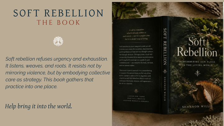 Soft Rebellion: From Essays to a Book campaign photo, 1 of 3