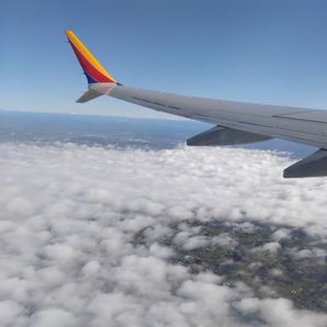 Ana Gabriela Araujo Verdugo 