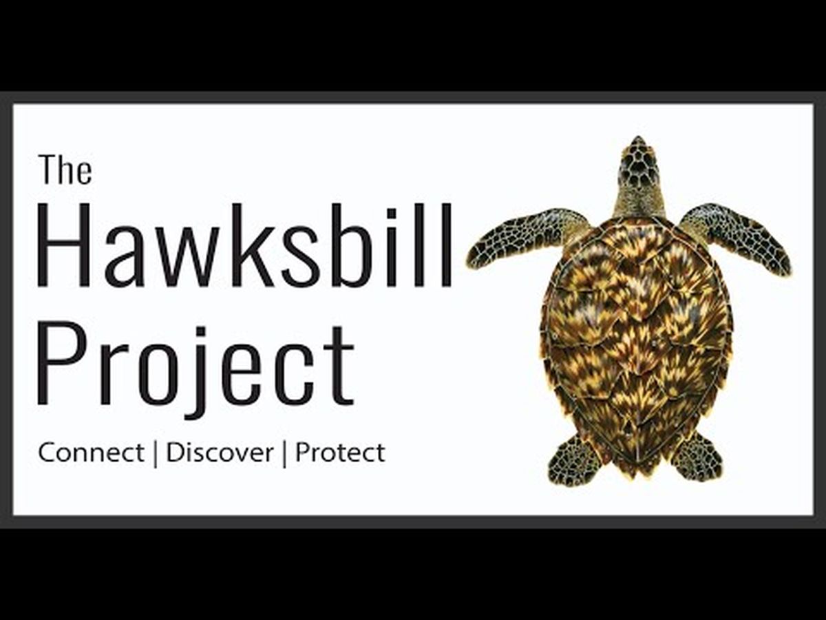 Fundraiser’s main image