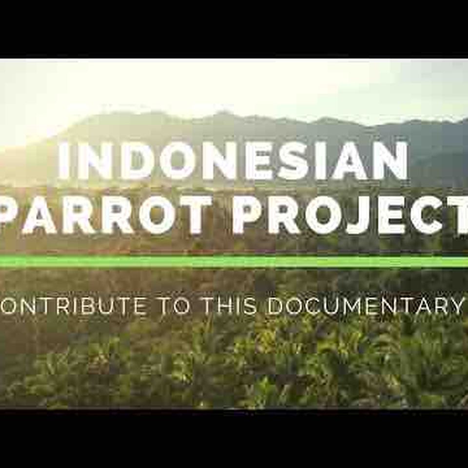 Fundraiser by Bonnie : Indonesian Project