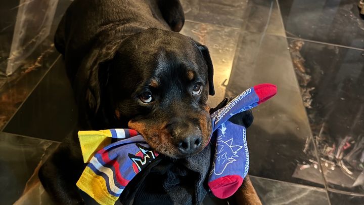 Help Save Klaus – My Best Friend Is Fighting for His Life
