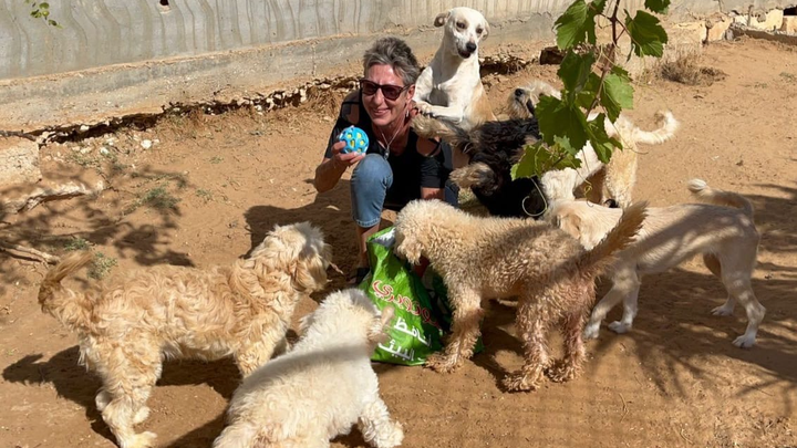 URGENCE ABSOLUE - Sauver 200 Chiens et Chats en Détresse campaign photo, 1 of 3
