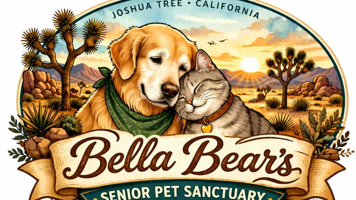 Bella Bear's Senior Pet Sanctuary campaign photo, 1 of 3