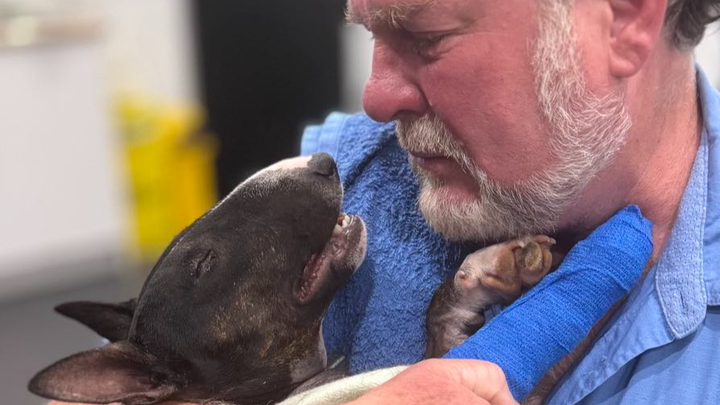Help save Lexi ( WE LOST OUR LITTLE GIRL) campaign photo, 1 of 4