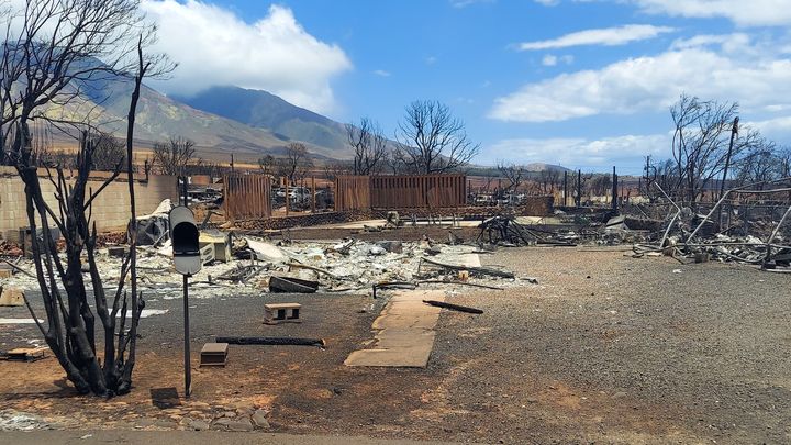 Foto principal de la recaudación de fondos