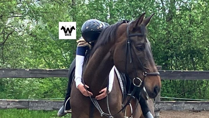 HELP Manege de Westkustruiters! campaign photo, 1 of 3