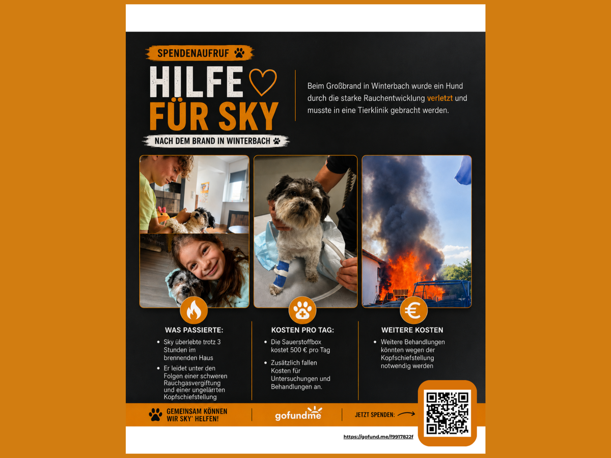 Hilfe für Hund Sky nach dem Brand in Winterbach am 27. Mai campaign photo, 1 of 8