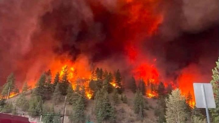 Family members who have lost everything in Summerland fire campaign photo, 1 of 3