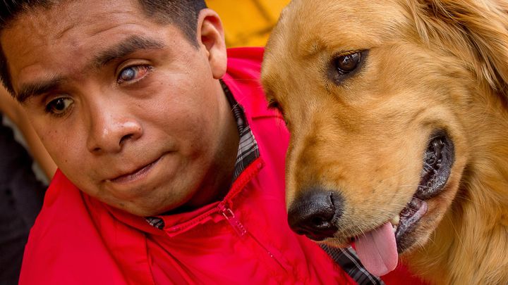 Salvemos a la Escuela de Perros Guía