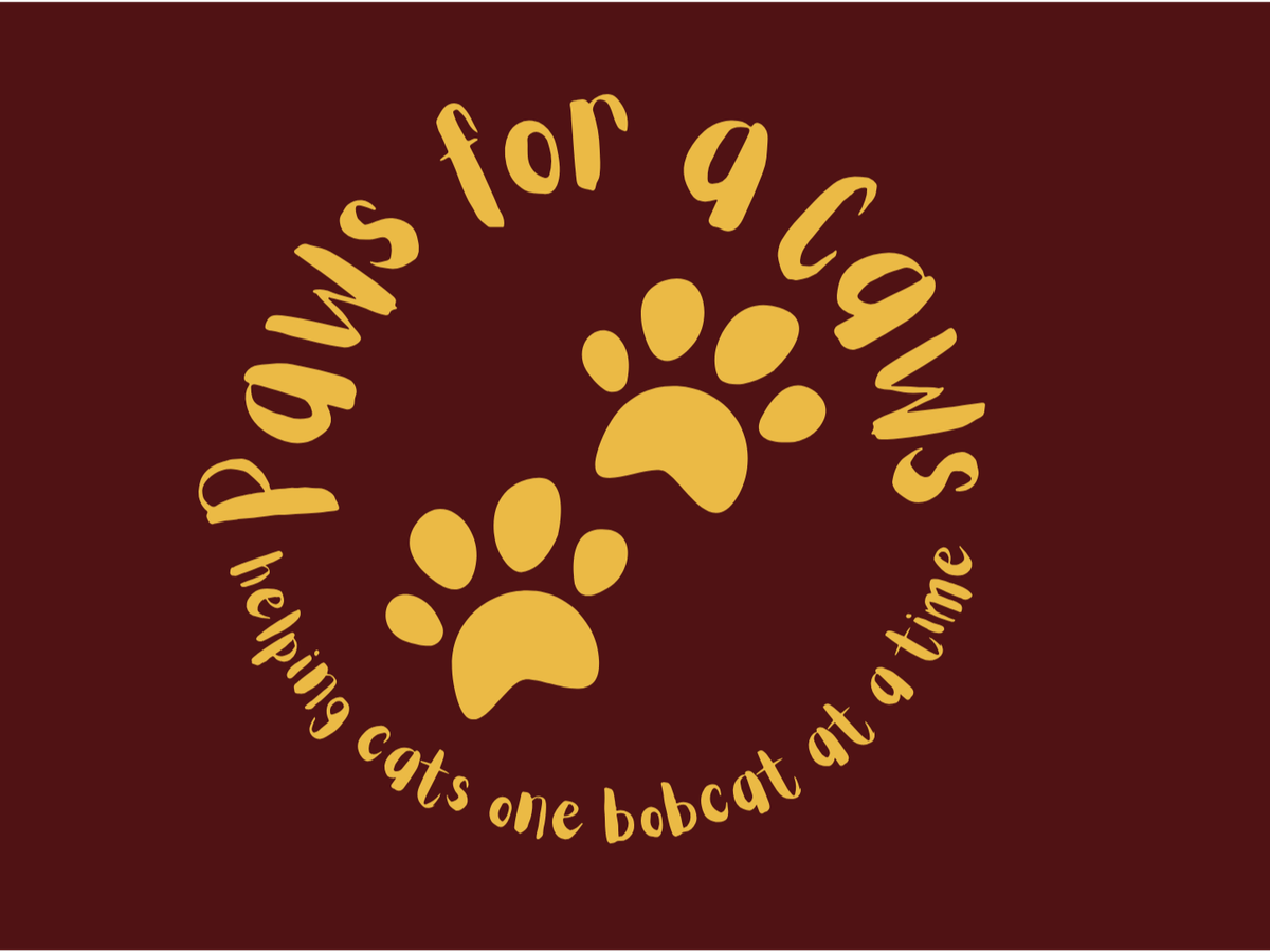 Fundraiser’s main image