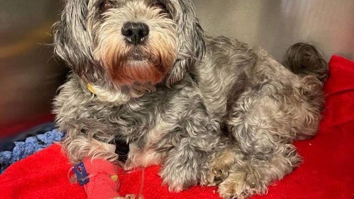 Main fundraiser photo