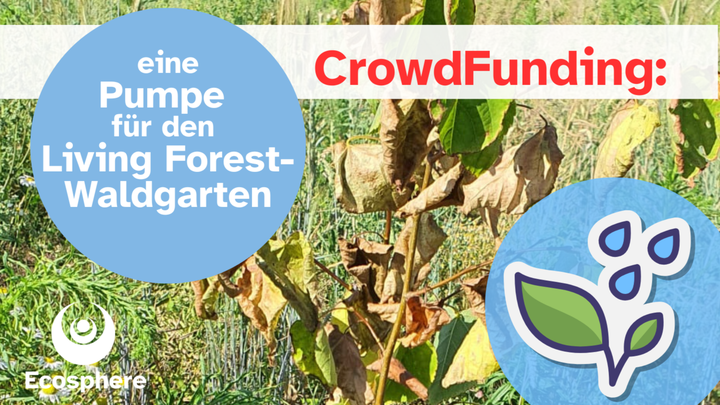 Hauptbild des Spendenaufrufs