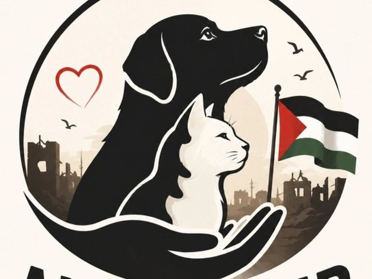 Fundraiser’s main image