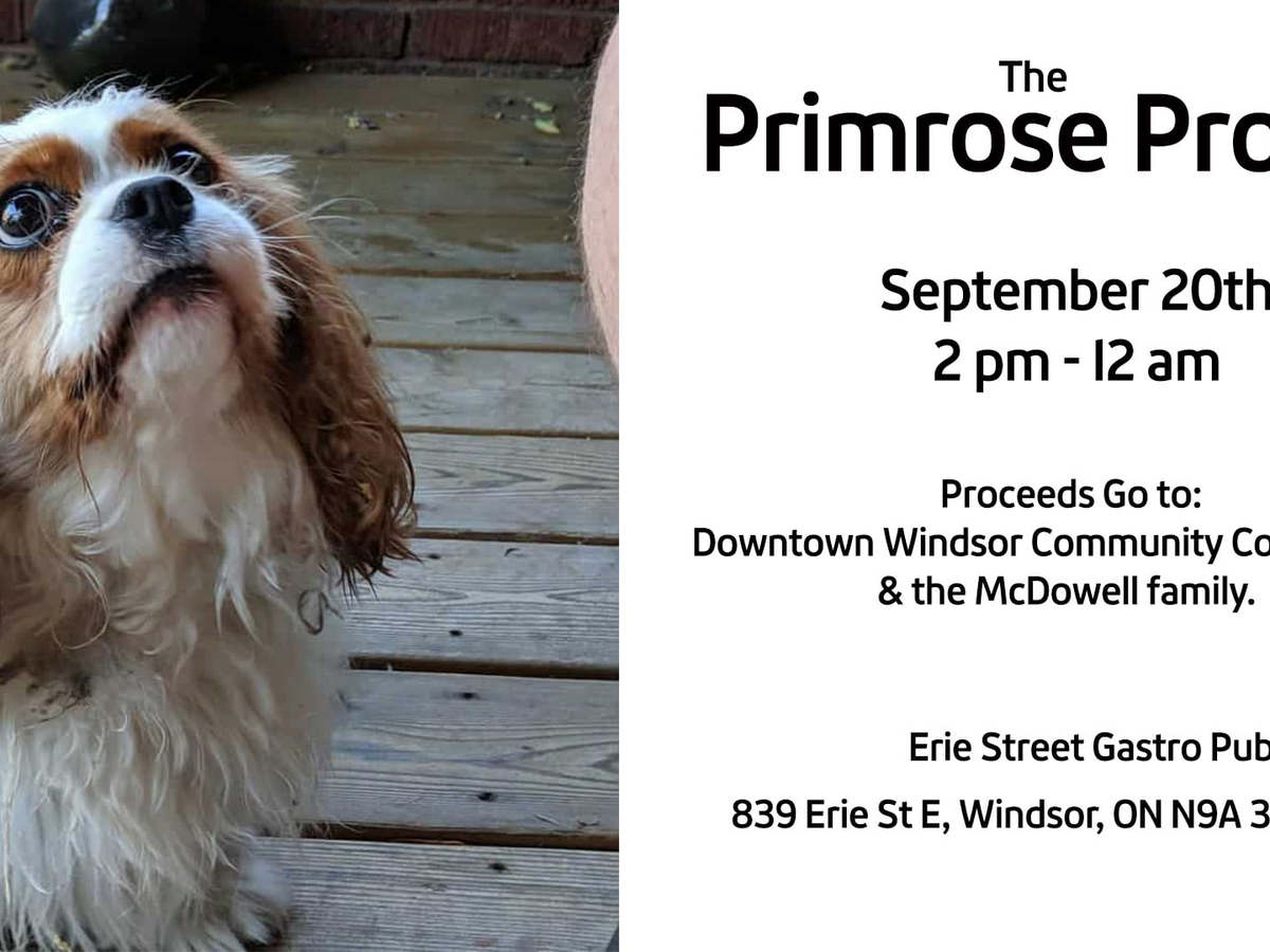 Fundraiser’s main image