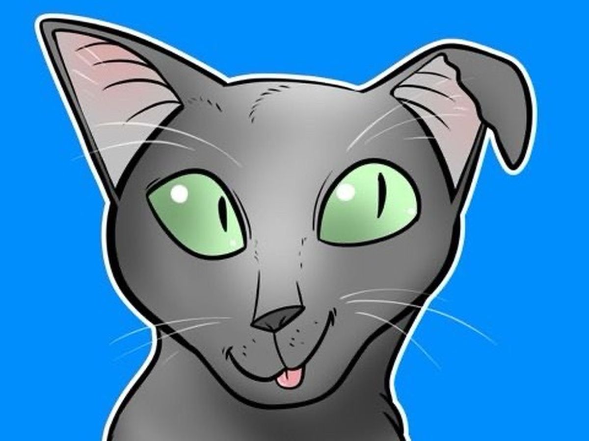 Fundraiser’s main image