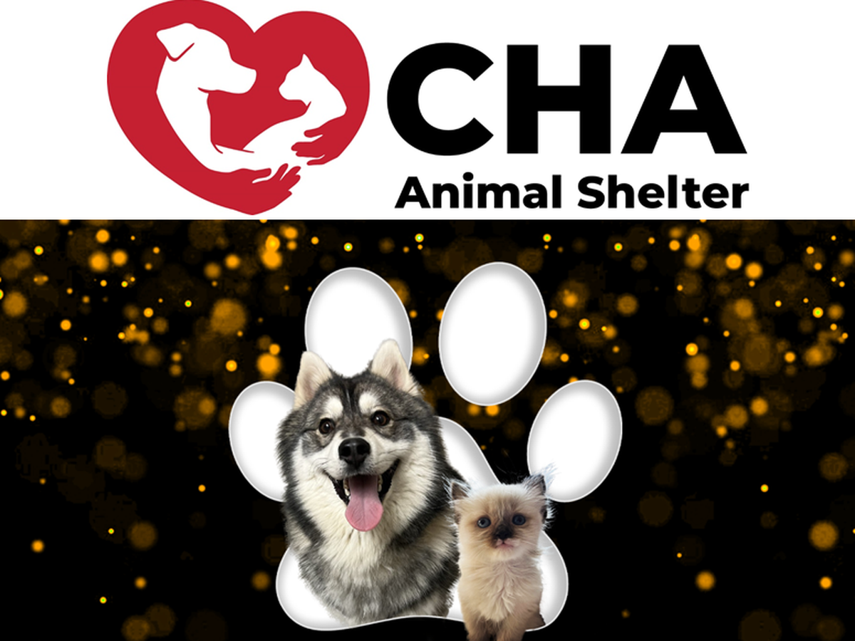 Fundraiser by CHA Animal Shelter Donate to CHA s Emergency