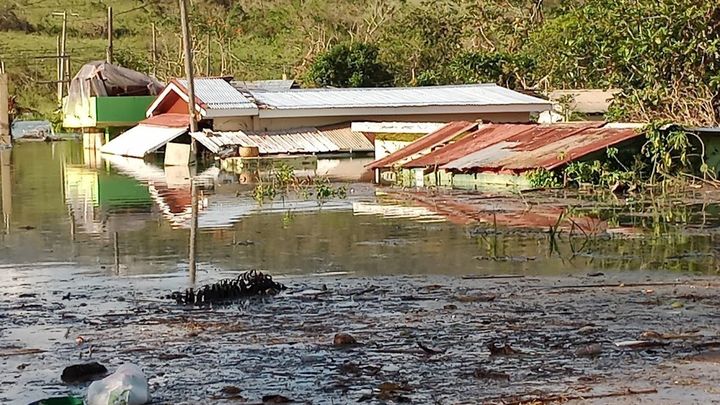 Jamaican Disaster Relief campaign photo, 1 of 7