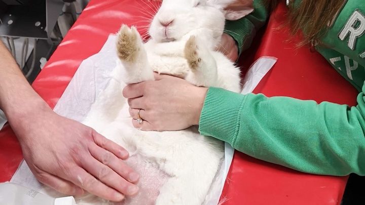 Main fundraiser photo