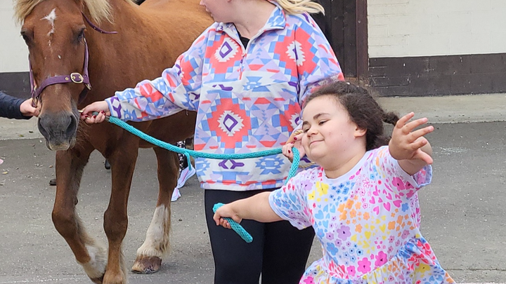 Sponsor a pony for children and adults with assisted needs campaign photo, 1 of 3