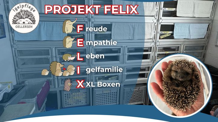 Hauptbild der Spendenaktion