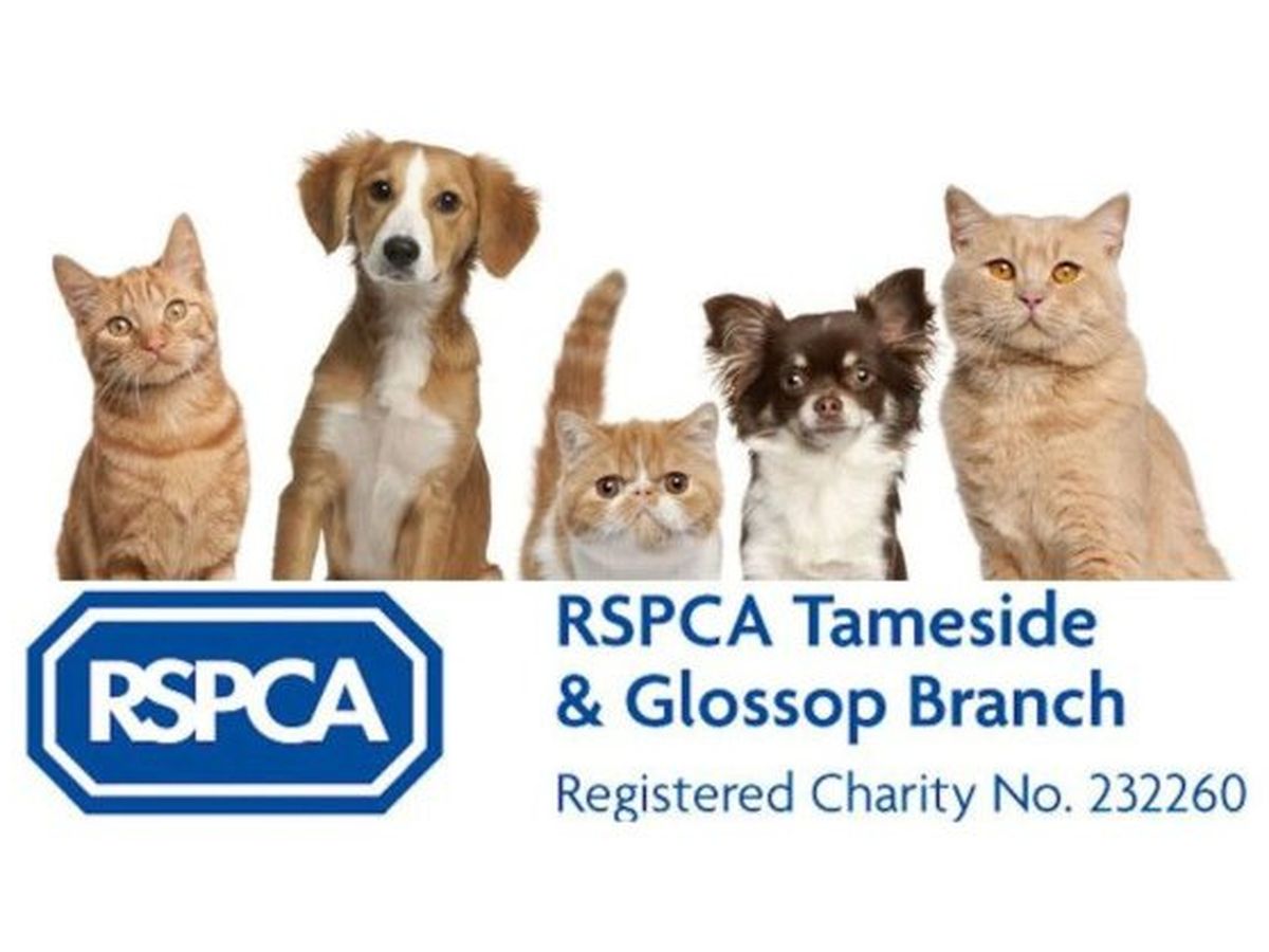 Fundraiser’s main image
