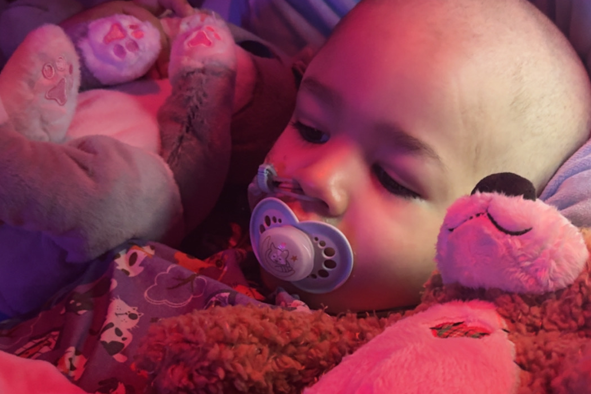 安田コレクション2 Eiga no tomo A child is born 安田コレクション2 Eiga no tomo A child is born 本