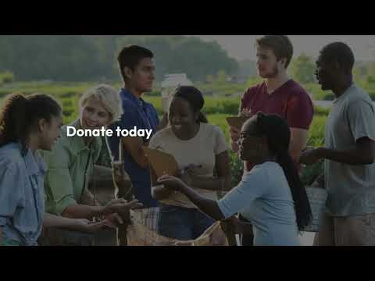 Fundraiser’s main image