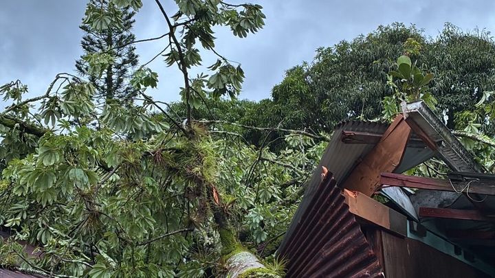 Rebuild Federico’s Family Home After Hurricane Lala campaign photo, 1 of 4