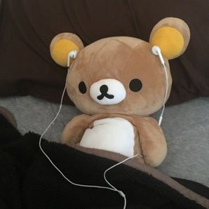 Bear B