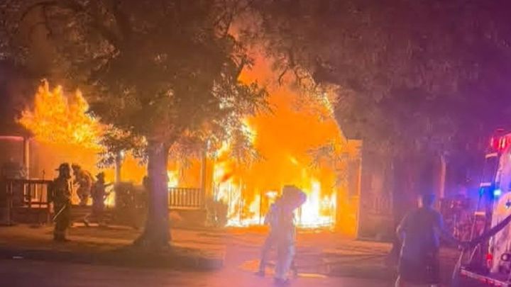 Support Grace and Pets After Fire Loss campaign photo, 1 of 8