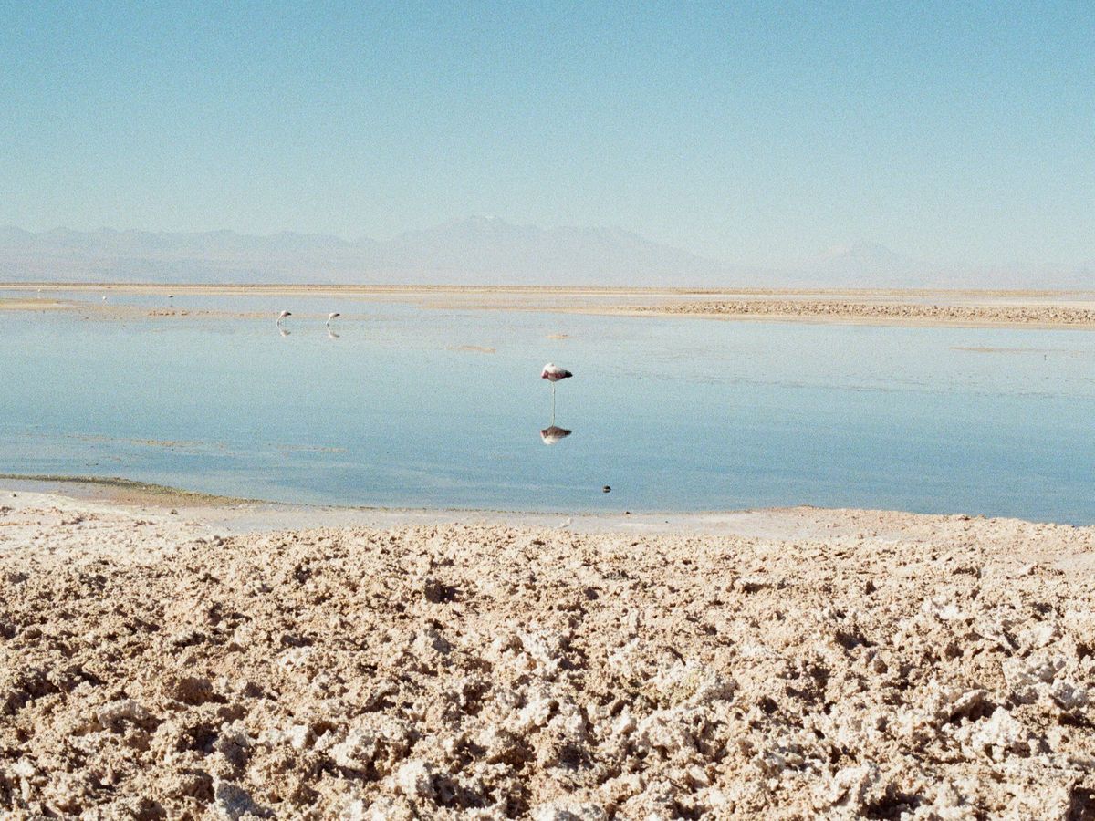 Fundraiser’s main image