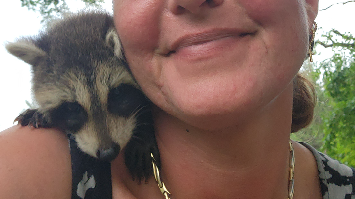 RESCUE ANIMAL SHELTER campaign photo, 1 of 8