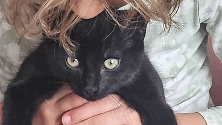 Help cover Noemi's medical bills campaign photo, 1 of 3