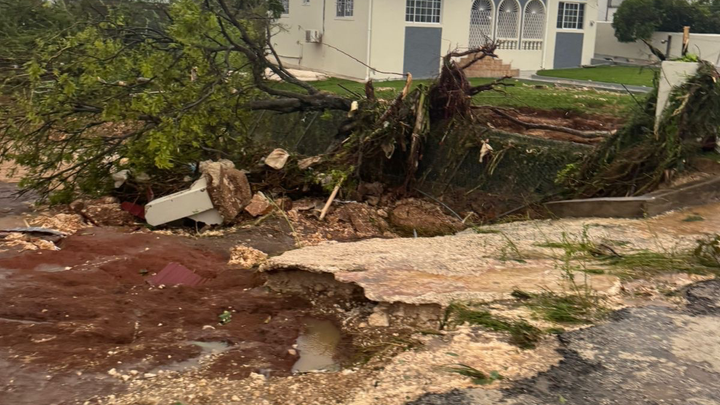 Support St. Elizabeth, Burnt Ground After Hurricane Melissa campaign photo, 1 of 7