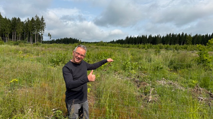 Zum Geburtstag, Gutes tun-Bäume für den Harz ! campaign photo, 1 of 8