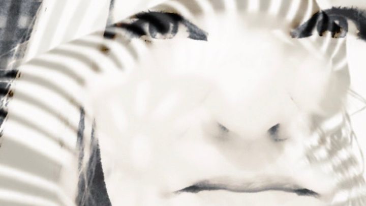 Creative Adaptive Digital Technology for Low Vision Artist campaign photo, 1 of 8