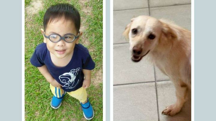 Main fundraiser photo