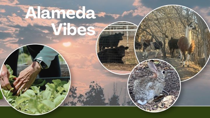 Alameda Neighbors Rally to Protect Rural Land campaign photo, 1 of 5
