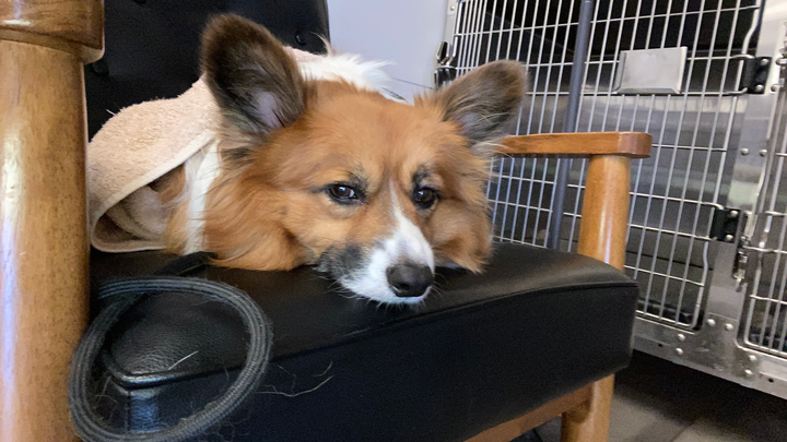 Support Aoki's Medical Journey campaign photo, 1 of 3