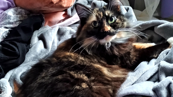 Missy End of Life Costs campaign photo, 1 of 8