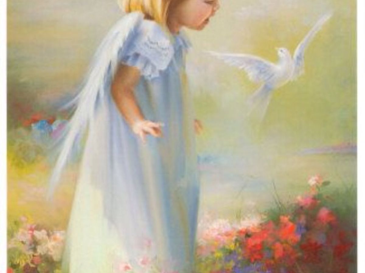 Fundraiser’s main image